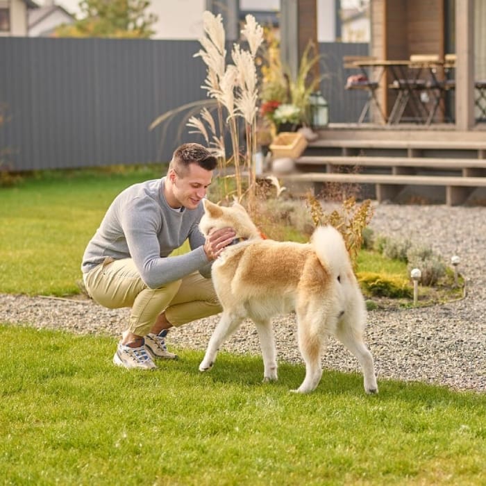 Young adult smiling man in casual clothes crouching touching looking at his dog Young adult smiling man in casual clothes crouching touching looking at his dog